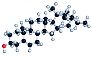 Beta-Sitosterol — Prostamen Ultra bitkisel içeriği